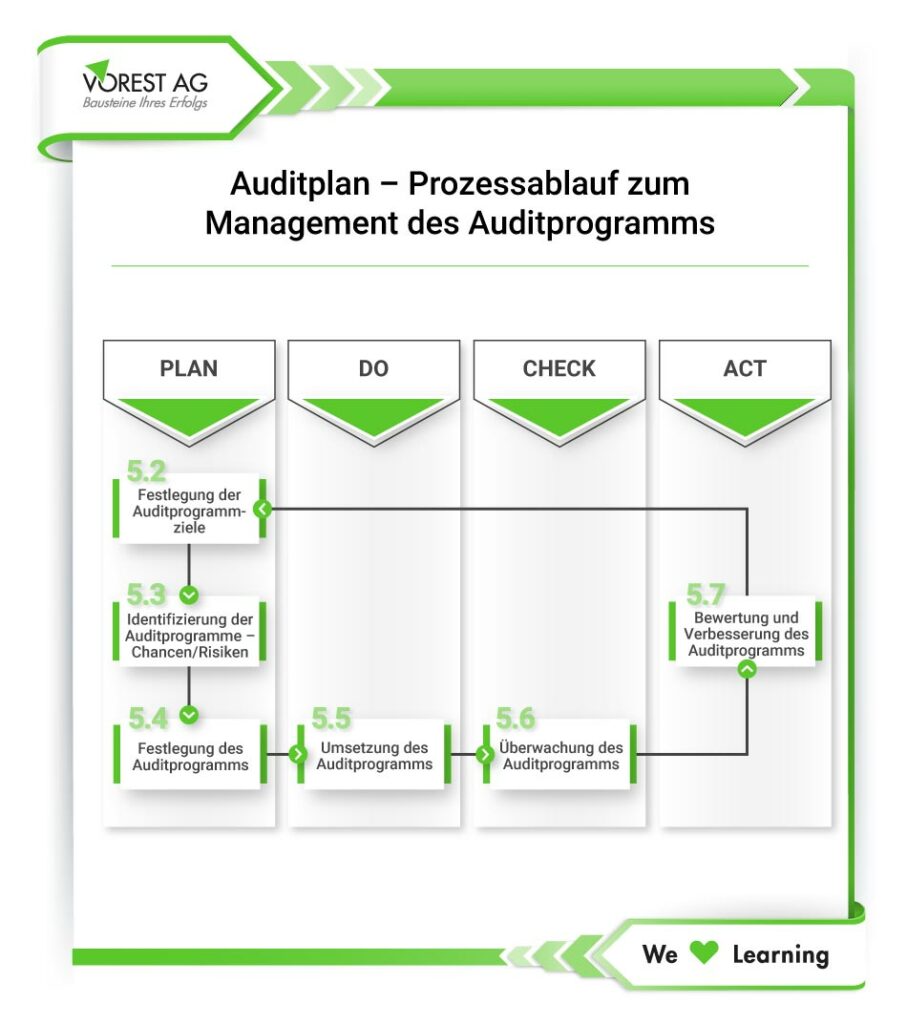 Systemaudit- Prozessablauf zum Management des Auditprogramms